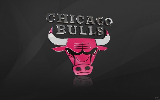 Chicago Bulls. Escudos NBA. 