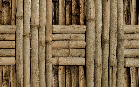 Wallpaper Cañizo tipo Bambu
