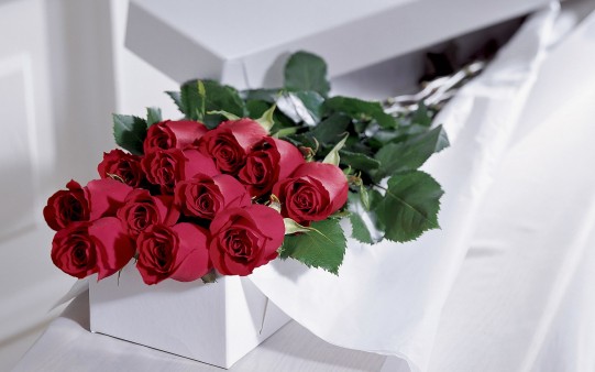Rosas para San Valentín 2013