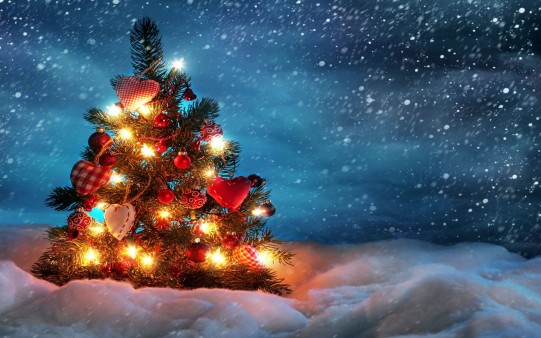 Fondo Pantalla árbol con luces en Navidad.