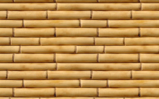 Fondo de Bambú 