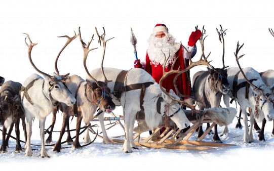 Fondo Santa Claus con sus renos